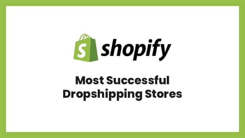 The 19 Best Shopify Dropshipping Store Examples in 2023
